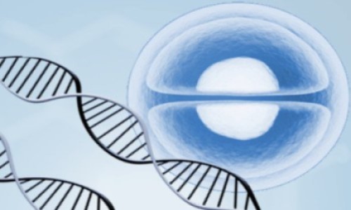 rna-i